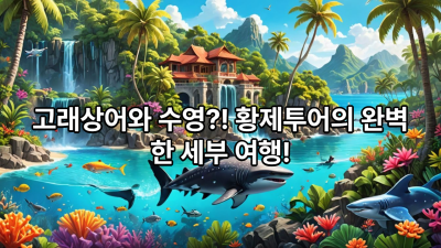 ■황제여행투어패키지 B■