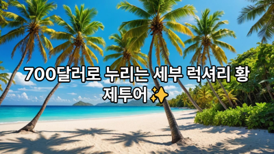 ■황제여행투어패키지 C■
